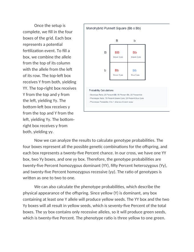 Calculating Trait Probabilities Using Monohybrid Punnett Squares Reading Worksheet sample page