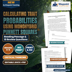 Calculating Trait Probabilities Using Monohybrid Punnett Squares Reading Worksheet cover