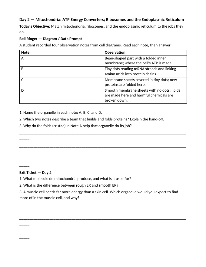Cell Organelles & Their Functions Bell Ringers & Exit Tickets sample page