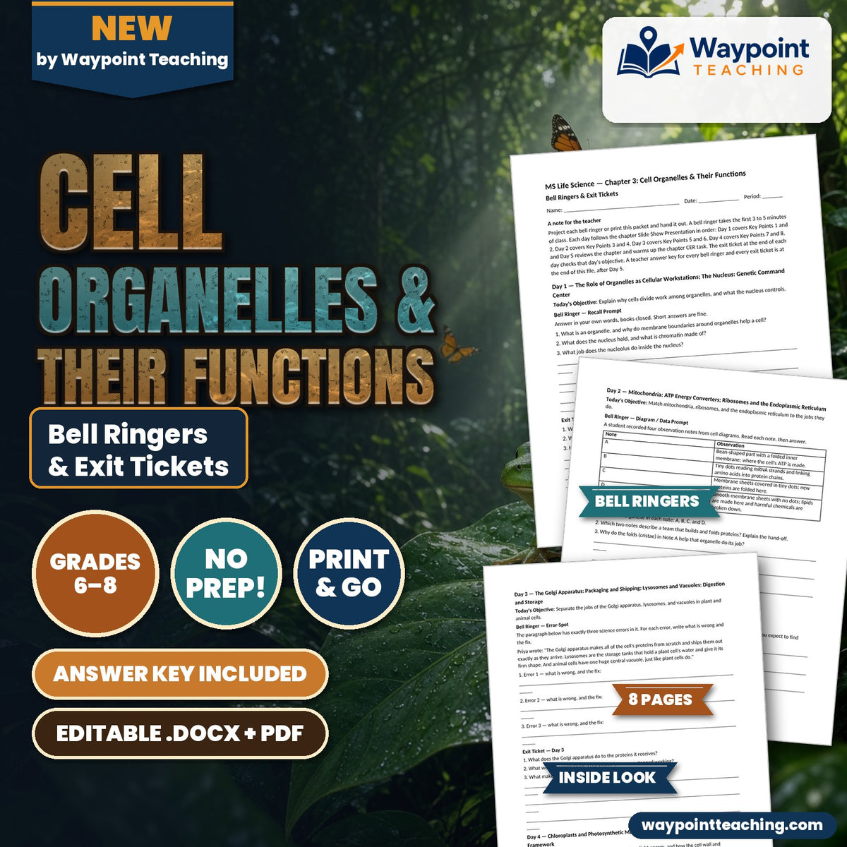Cell Organelles & Their Functions Bell Ringers & Exit Tickets cover