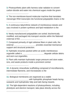 Cell Organelles & Their Functions Fill-in-the-Blank Vocabulary Worksheet sample page