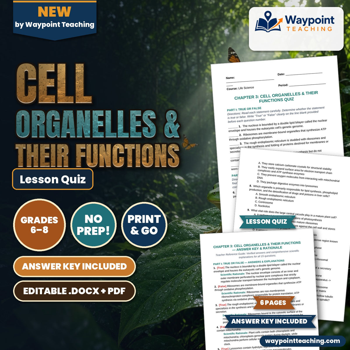 Cell Organelles & Their Functions Lesson Quiz cover