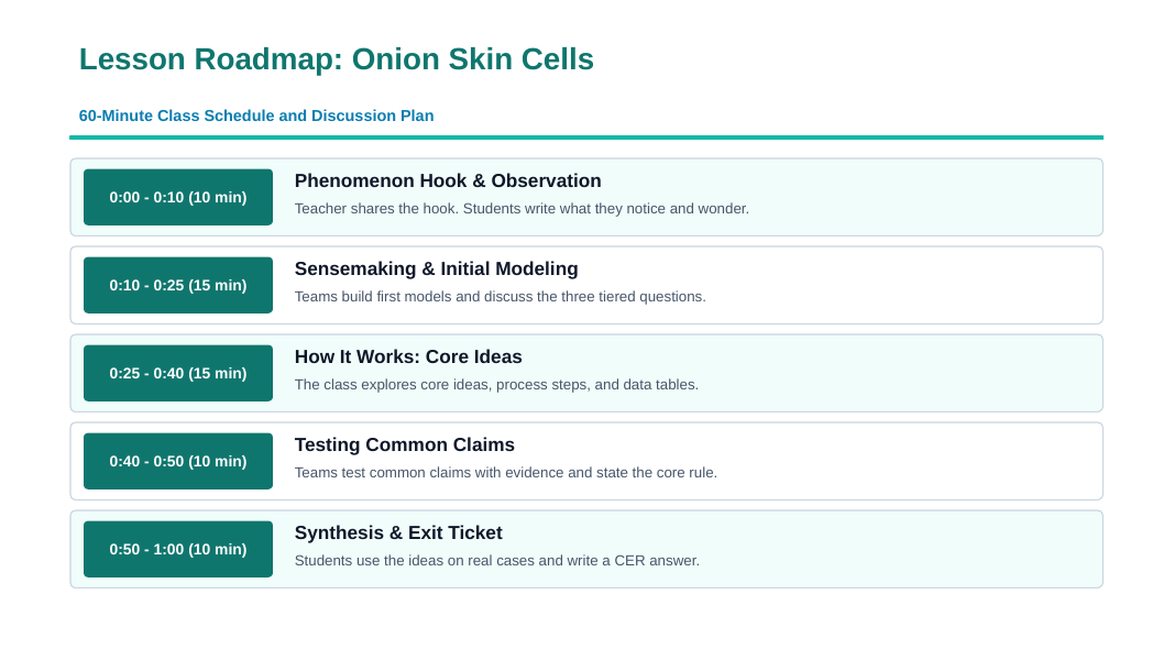 Cell Organelles & Their Functions Phenomena-Based Lesson: Onion Skin Cells Under Iodine Stain Showing the Nucleus, Cytoplasm, and Cell Wall Presentation sample page