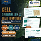 Cell Organelles & Their Functions Phenomena-Based Lesson: Onion Skin Cells Under Iodine Stain Showing the Nucleus, Cytoplasm, and Cell Wall Presentation cover