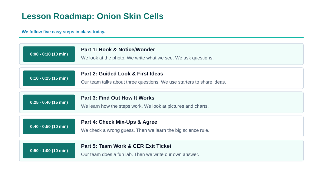 Cell Organelles & Their Functions Scaffolded Phenomena-Based Lesson: Onion Skin Cells Under Iodine Stain Showing the Nucleus, Cytoplasm, and Cell Wall Presentation sample page