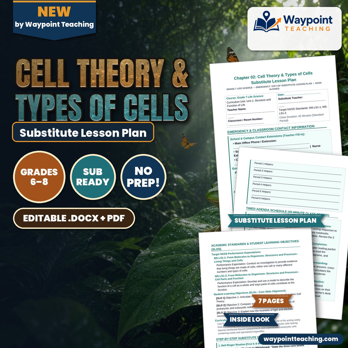 Cell Theory & Types of Cells Substitute Lesson Plan cover