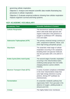 Cellular Respiration 5E Lesson Plan sample page