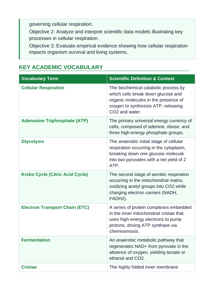 Cellular Respiration 5E Lesson Plan sample page