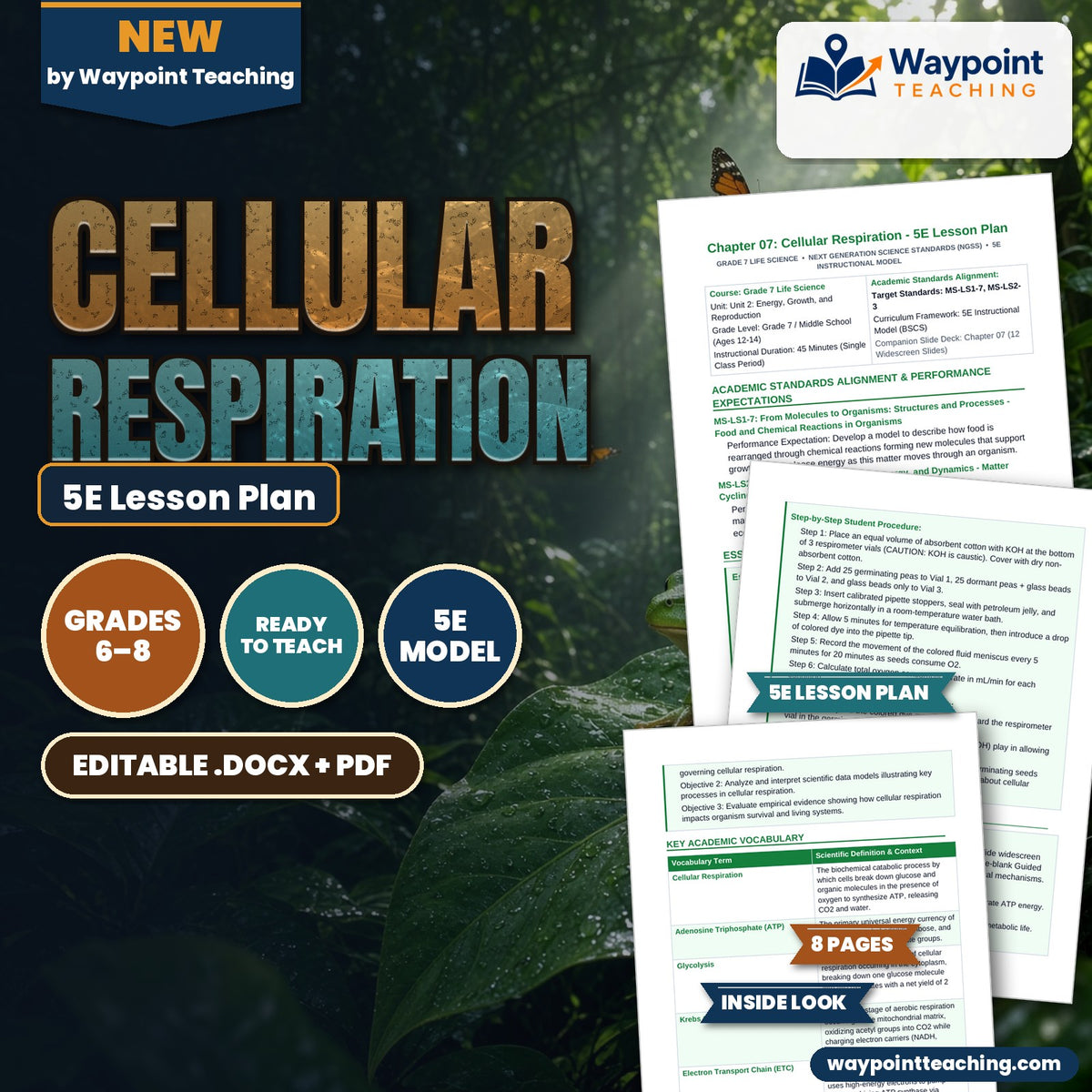 Cellular Respiration 5E Lesson Plan cover