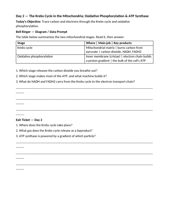 Cellular Respiration Bell Ringers & Exit Tickets sample page