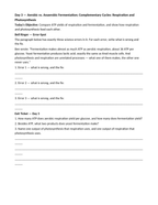 Cellular Respiration Bell Ringers & Exit Tickets sample page