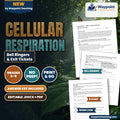 Cellular Respiration Bell Ringers & Exit Tickets cover