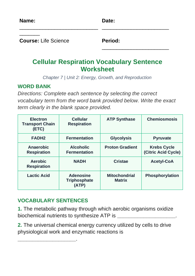 Cellular Respiration Fill-in-the-Blank Vocabulary Worksheet sample page