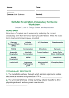 Cellular Respiration Fill-in-the-Blank Vocabulary Worksheet sample page