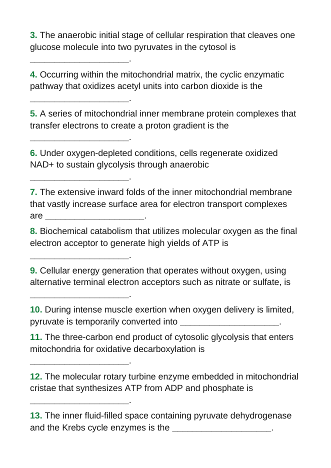Cellular Respiration Fill-in-the-Blank Vocabulary Worksheet sample page