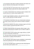 Cellular Respiration Fill-in-the-Blank Vocabulary Worksheet sample page