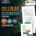 Cellular Respiration Lesson Quiz cover