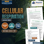 Cellular Respiration Lesson Quiz cover