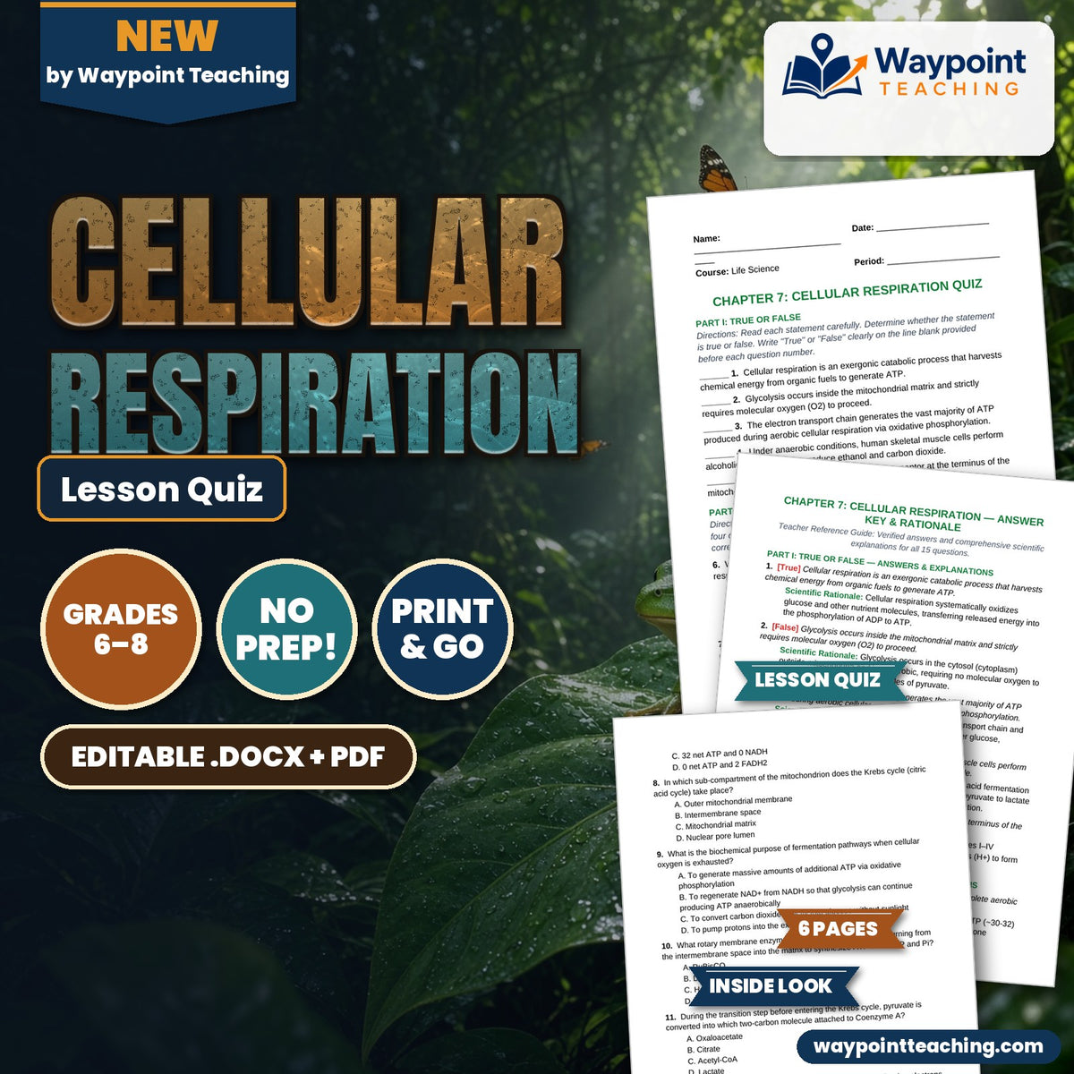 Cellular Respiration Lesson Quiz cover