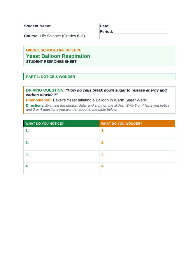 Cellular Respiration Phenomena-Based Lesson: Baker's Yeast Inflating a Balloon in Warm Sugar Water Student Response Sheet sample page