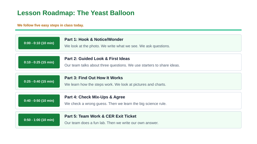 Cellular Respiration Scaffolded Phenomena-Based Lesson: Baker's Yeast Inflating a Balloon in Warm Sugar Water Presentation sample page