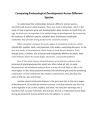 Comparing Embryological Development Across Different Species Reading Worksheet sample page