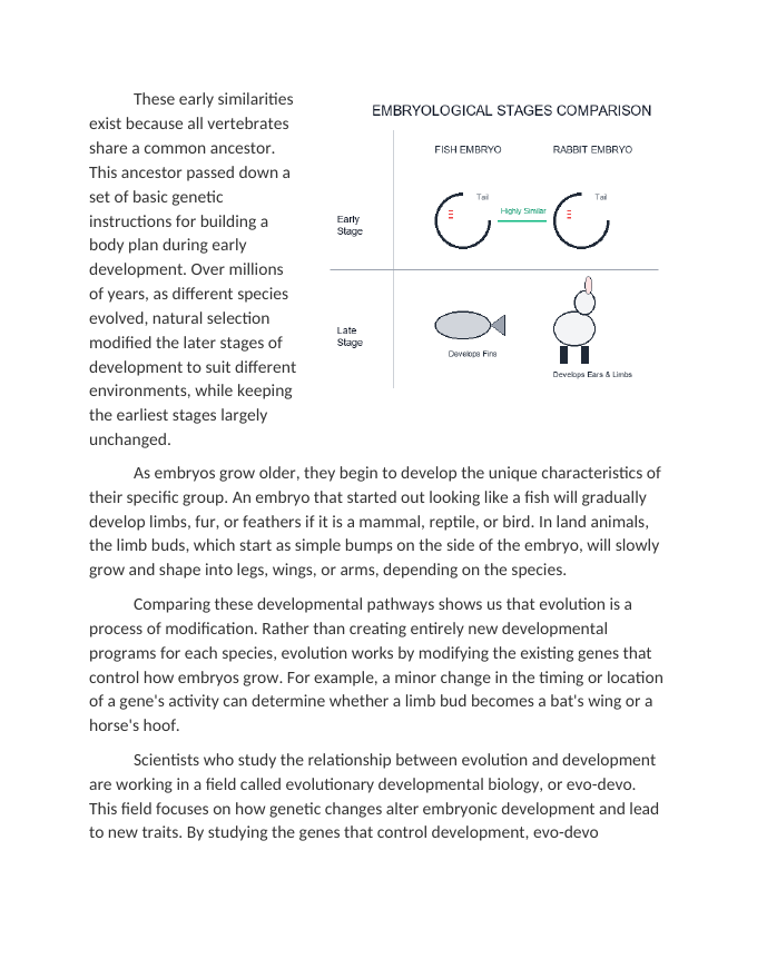 Comparing Embryological Development Across Different Species Reading Worksheet sample page