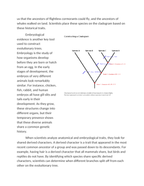 Constructing Cladograms and Evolutionary Trees Reading Worksheet sample page