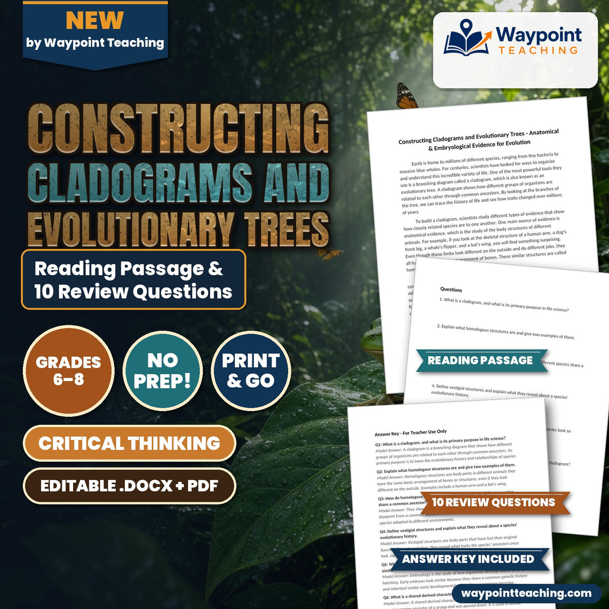 Constructing Cladograms and Evolutionary Trees Reading Worksheet cover