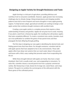 Designing an Apple Variety for Drought Resistance and Taste Reading Worksheet sample page