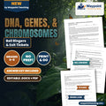 DNA, Genes, & Chromosomes Bell Ringers & Exit Tickets cover