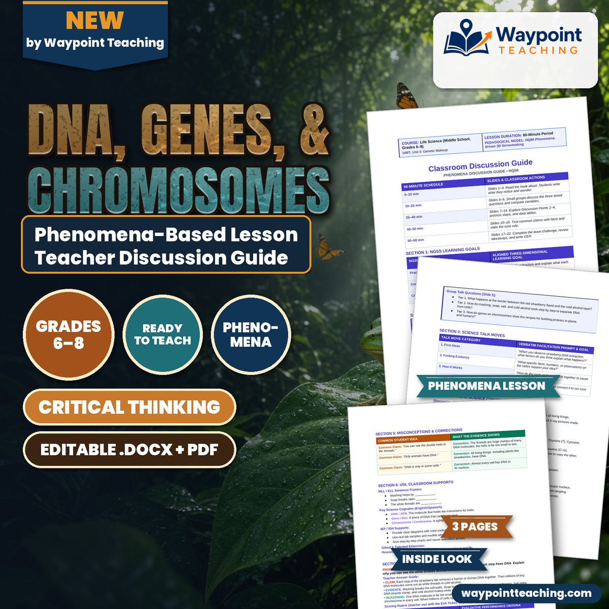 DNA, Genes, & Chromosomes Phenomena-Based Lesson: White Spools of Strawberry DNA in Cold Alcohol Teacher Discussion Guide cover