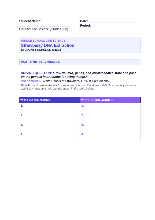 DNA, Genes, & Chromosomes Phenomena-Based Lesson: White Spools of Strawberry DNA in Cold Alcohol Student Response Sheet sample page