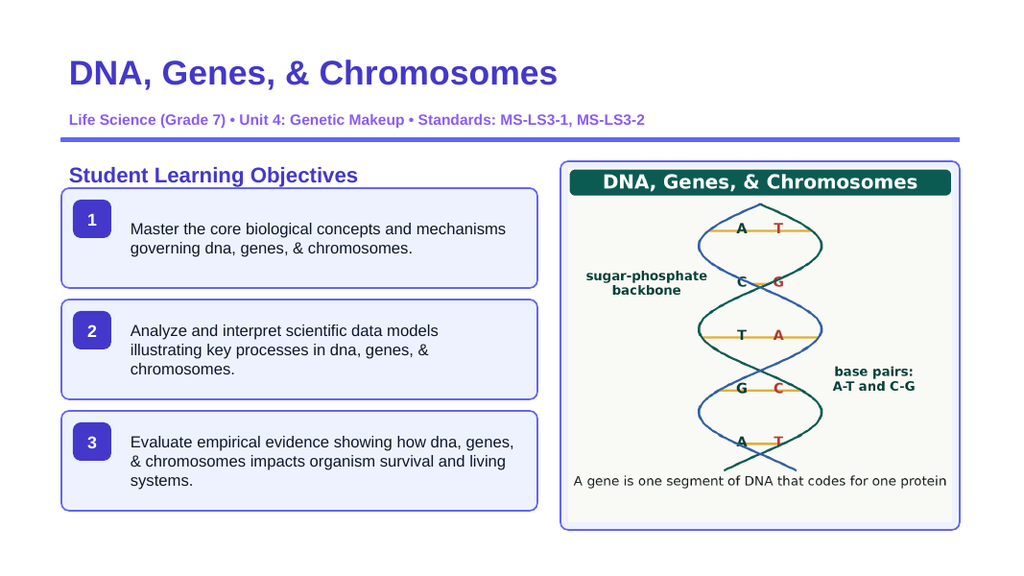 DNA, Genes, & Chromosomes Slide Show Presentation sample page