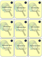 DNA, Genes, & Chromosomes Trivia Board Game sample page