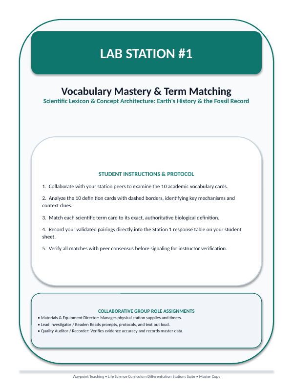 Earth's History & the Fossil Record Differentiation Stations sample page