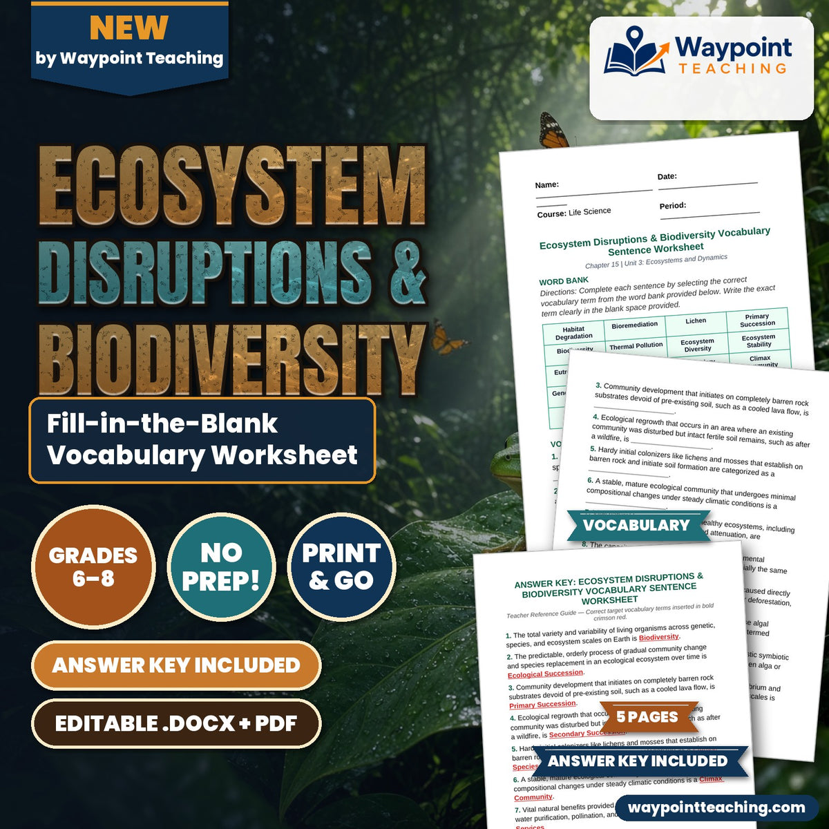 Ecosystem Disruptions & Biodiversity Fill-in-the-Blank Vocabulary Worksheet cover