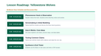 Ecosystem Disruptions & Biodiversity Phenomena-Based Lesson: Trophic Cascades Sparked by Wolf Reintroduction to Yellowstone Presentation sample page
