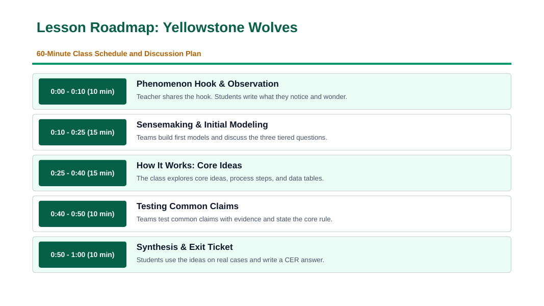 Ecosystem Disruptions & Biodiversity Phenomena-Based Lesson: Trophic Cascades Sparked by Wolf Reintroduction to Yellowstone Presentation sample page