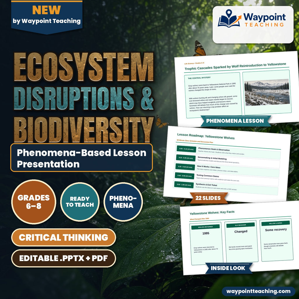 Ecosystem Disruptions & Biodiversity Phenomena-Based Lesson: Trophic Cascades Sparked by Wolf Reintroduction to Yellowstone Presentation cover