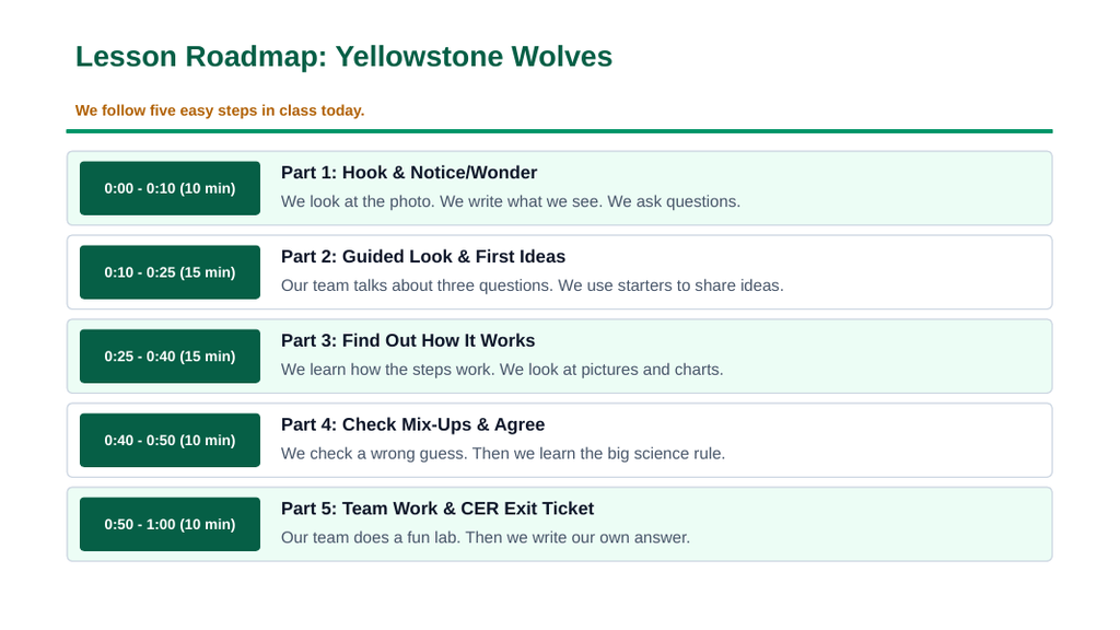 Ecosystem Disruptions & Biodiversity Scaffolded Phenomena-Based Lesson: Trophic Cascades Sparked by Wolf Reintroduction to Yellowstone Presentation sample page