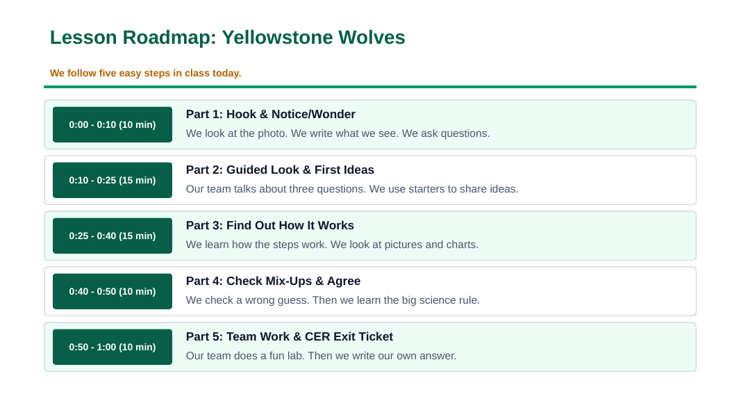 Ecosystem Disruptions & Biodiversity Scaffolded Phenomena-Based Lesson: Trophic Cascades Sparked by Wolf Reintroduction to Yellowstone Presentation sample page