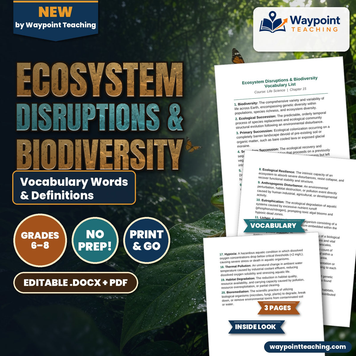 Ecosystem Disruptions & Biodiversity Vocabulary Words & Definitions cover