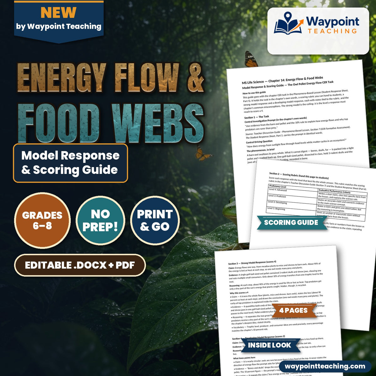 Energy Flow & Food Webs Model Response & Scoring Guide cover