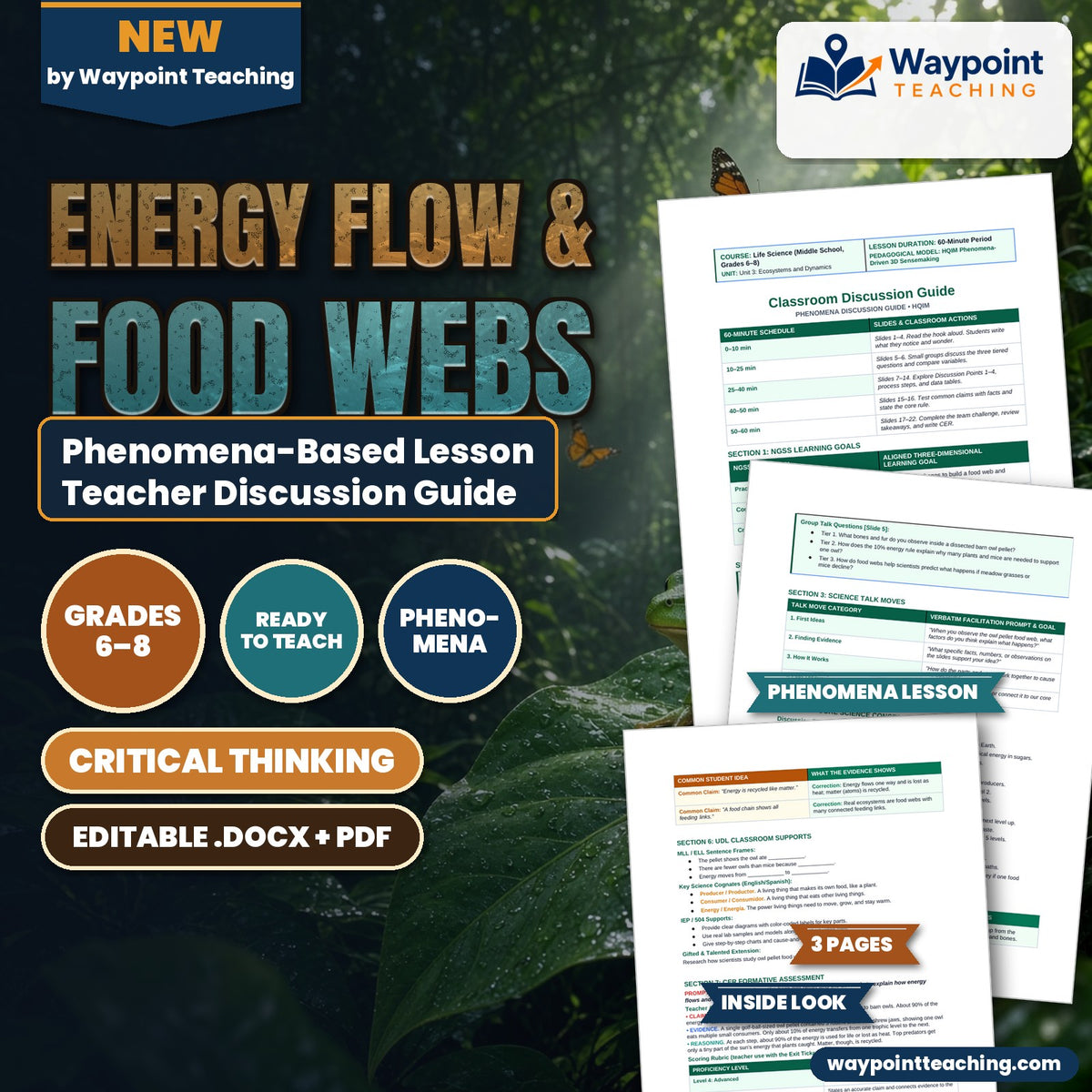 Energy Flow & Food Webs Phenomena-Based Lesson: Dissecting Regurgitated Barn Owl Pellets to Trace Food Webs Teacher Discussion Guide cover