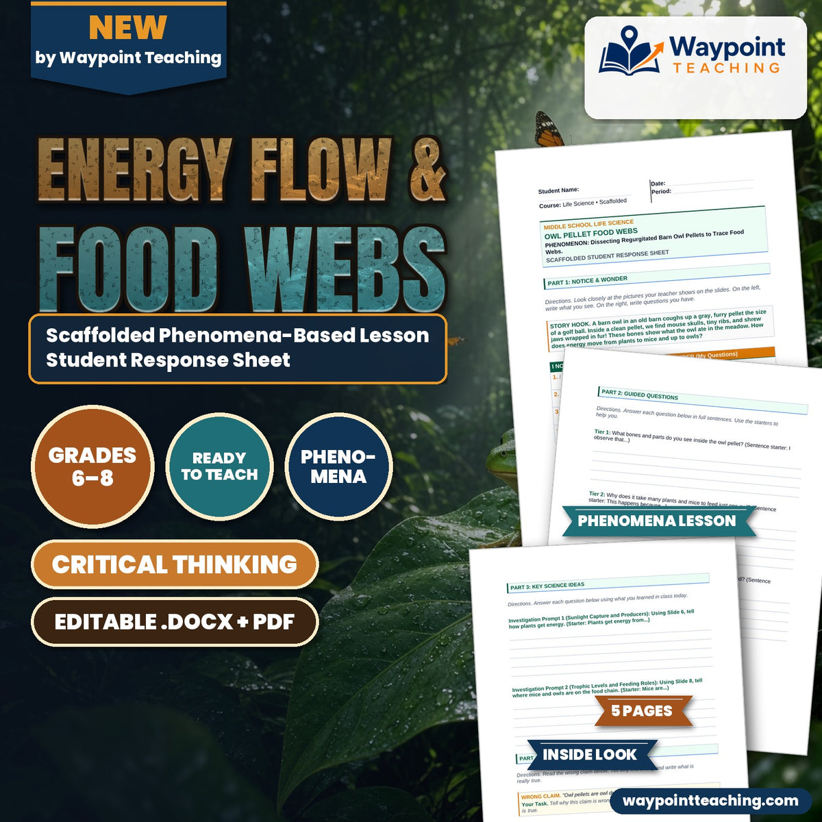 Energy Flow & Food Webs Scaffolded Phenomena-Based Lesson: Dissecting Regurgitated Barn Owl Pellets to Trace Food Webs Student Response Sheet cover