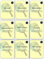 Energy Flow & Food Webs Trivia Board Game sample page