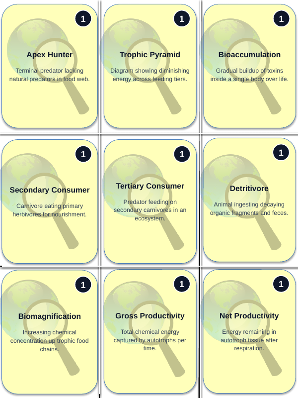 Energy Flow & Food Webs Trivia Board Game sample page