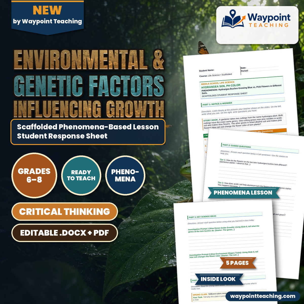 Environmental & Genetic Factors Influencing Growth Scaffolded Phenomena-Based Lesson: Hydrangea Bushes Growing Blue vs. Pink Flowers in Different Soils Student Response Sheet cover