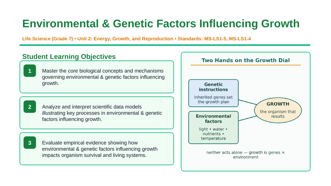 Environmental & Genetic Factors Influencing Growth Slide Show Presentation sample page